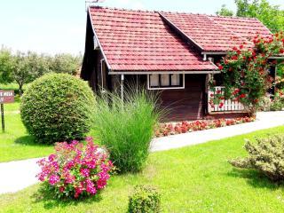 Wooden house Nela near Plitvice Lakes - Smoljanac - 9