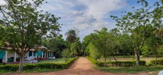 KP Cottages - Kānker - 3