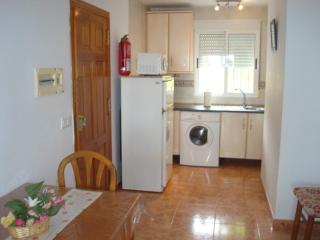 Impressive apartment in ground floor with terrace of 2 rooms, A A and pool 4 - Playas de Vera - 9