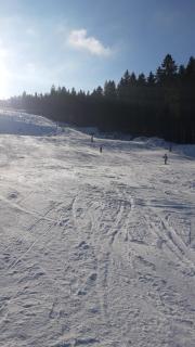 Kuća za odmor Ravna planina - Pale - 9