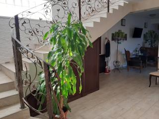 Vila Fortuna Auri - Oradea - 4