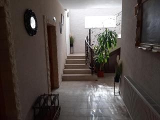 Vila Fortuna Auri - Oradea - 3