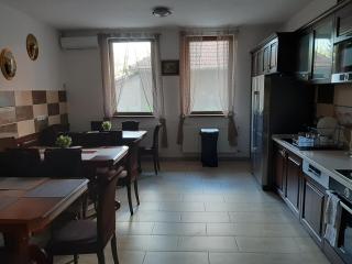 Vila Fortuna Auri - Oradea - 1