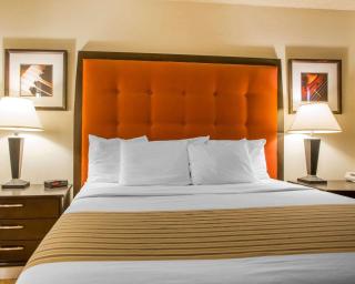 University Inn & Suites - 7