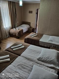 Guest House on V. Pshavela 50 - Kazbegi - 4