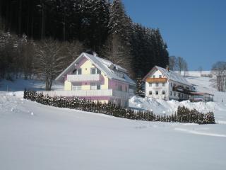 Gasthaus Pension Donishäusle - Titisee-Neustadt - 5