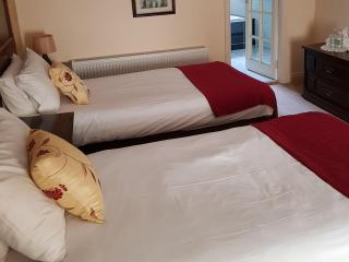 Carrygerry Country House - Shannon - 2