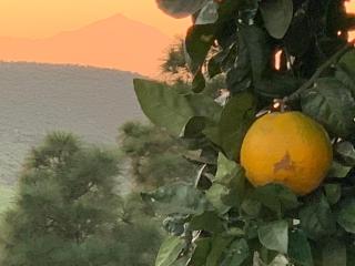Casa del Sol - 8