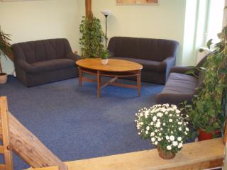 Hotel Mrázek - Pardubice - 8