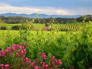 Chateau Maravenne - La Londe-les-Maures - 1