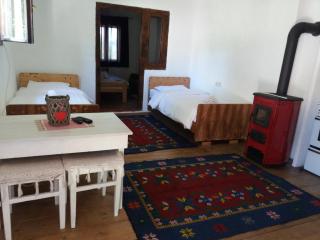 Apartments Javorje Zabljak - Žabljak - 7