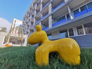 Spring Holiday Resort - Neptun - 7