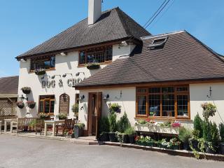 The Dog & Crook - Romsey - 9