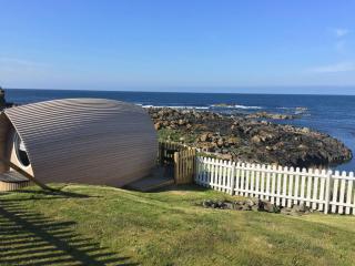 Door to the Shore - Seafront Cottages - 4