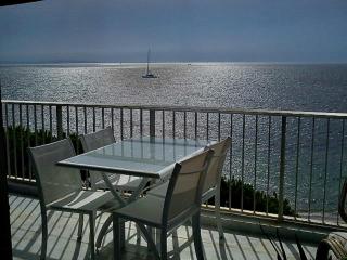 Fettolina Palm Beach, Location Cannes front de mer et plage - Cannes - 2