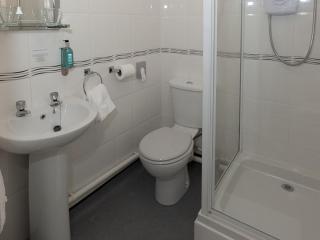 The Fountain Inn - Hendy - 3