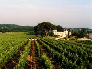 La France - Gite Chateau - Beychac-et-Caillau - 9