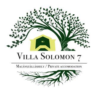 ApartmentVillaSolomon7 - Visegrád - 4