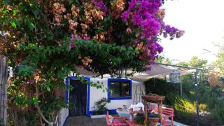 CASA CON SIERRA Y CON PORTUGAL - Rosal de la Frontera - 3