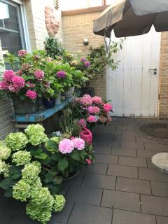 Apartment Klatenberg - 7