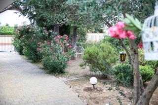 Boho by the sea house - Pirovac - 6