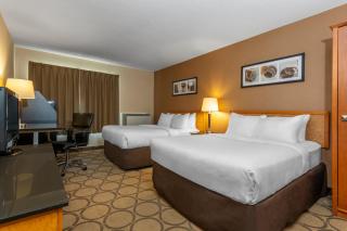 Comfort Inn - 4