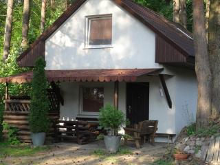 Domek letniskowy nad jeziorem Wersminia - Martiany - 9