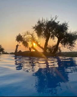 Residence Serrone - Santa Maria di Castellabate - 8