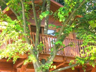 Casa sull'Albero Aromantica - San Salvatore Monferrato - 8