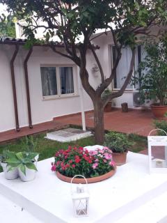 Casa Agrumeto - Locazione Turistica - Mondello - 2