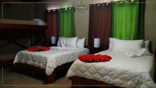 Mountain Faro Hotel - Monteverde - 3