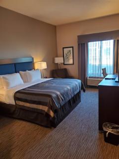 Wingate by Wyndham Christiansburg - Christiansburg - 6