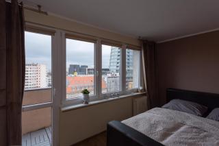 studio dana 75b 2 - Szczecin - 8
