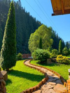 Forest House - Tatariv - 6