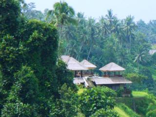 Villa Santai - Ubud - 4