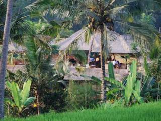 Villa Santai - Ubud - 3