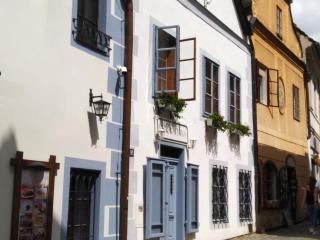 Pension Nina - Český Krumlov - 9
