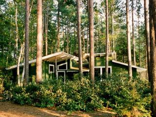White Pine Camp - 5