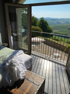 Tenuta Le More - Calosso - 4