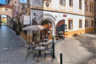 Hotel Cerny Slon - Praga - 9