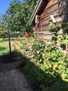 Het Buitengebied - 6