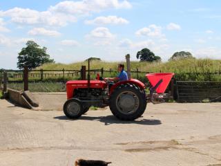 Woodcock Farm - Bristol - 5