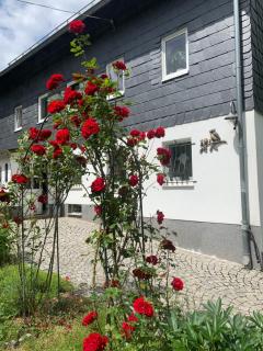 Ferienwohnung Eulennest - 7
