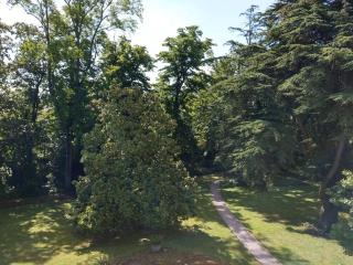 Maison d'hôtes Le Parc - Labruguière - 7
