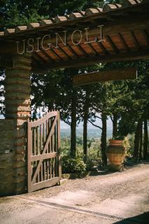 Fattoria Degli Usignoli - 6