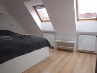 Apartmán Kamenice - Kamenice nad Lipou - 3