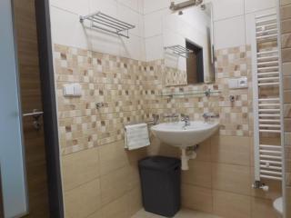 Apartmán Kamenice - Kamenice nad Lipou - 2