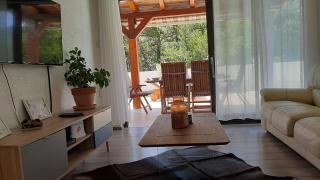 Vila Brig 108 - private swimming pool and jacuzzi - 2
