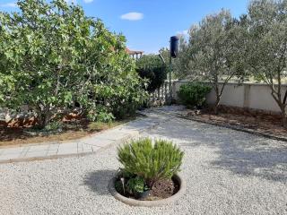 Apartman Pajo - Seline - 7