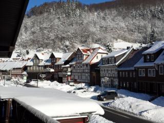 Landgasthof Kleine Kommode - Zorge - 5